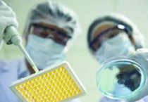 Yinfeng Biological Group.,LTD