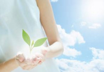 Yinfeng Biological Group.,LTD