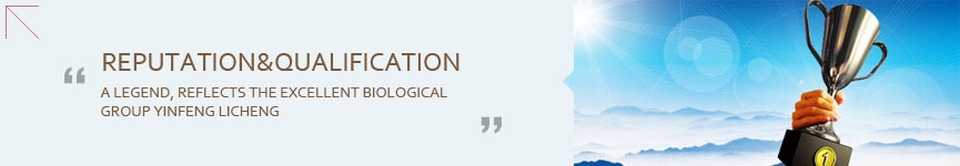 Reputation&Qualification    Yinfeng Biological Group.,LTD