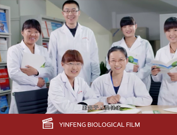 Corporate image   Yinfeng Biological Group.,LTD