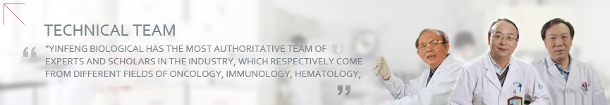 Technical Team   Yinfeng Biological Group.,LTD