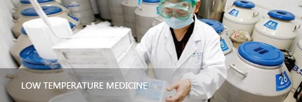 Yinfeng Biological Group.,LTD