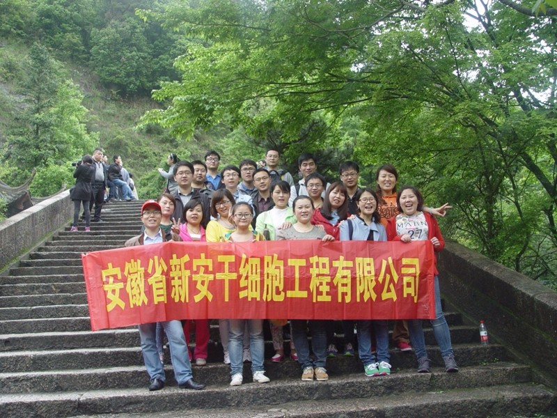 The Spring Outing in 2014 of Yinfeng Biological Group was Proved to be A Success   Yinfeng Biological Group.,LTD