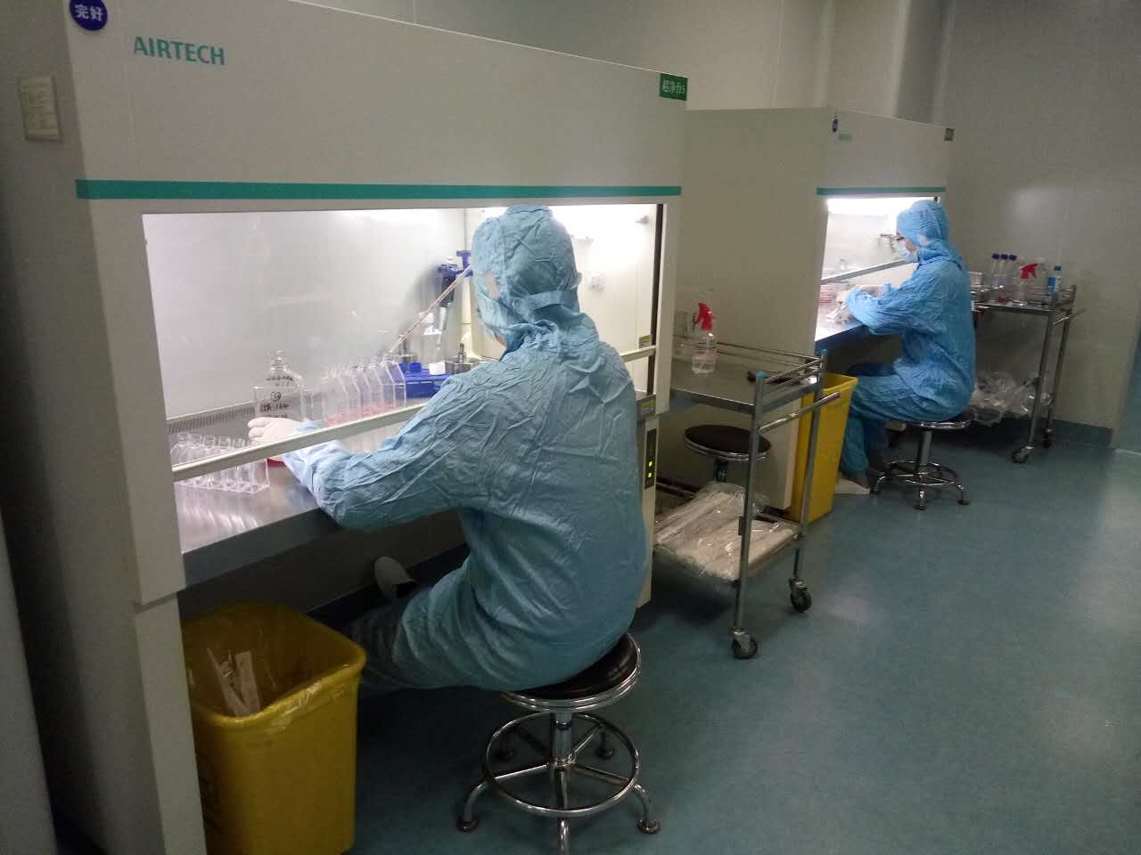   分支机构   6008集团官方网站生物集团|贡献医疗科技 包管人类康健