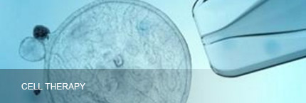 Yinfeng Biological Group.,LTD