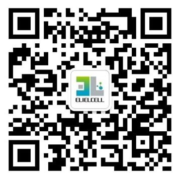 山东伊莱尔细胞工程手艺有限公司  分支机构   6008集团官方网站生物集团|贡献医疗科技 包管人类康健