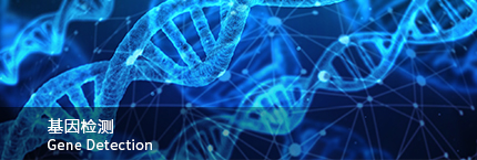 投资领域   6008集团官方网站生物集团|贡献医疗科技 包管人类康健