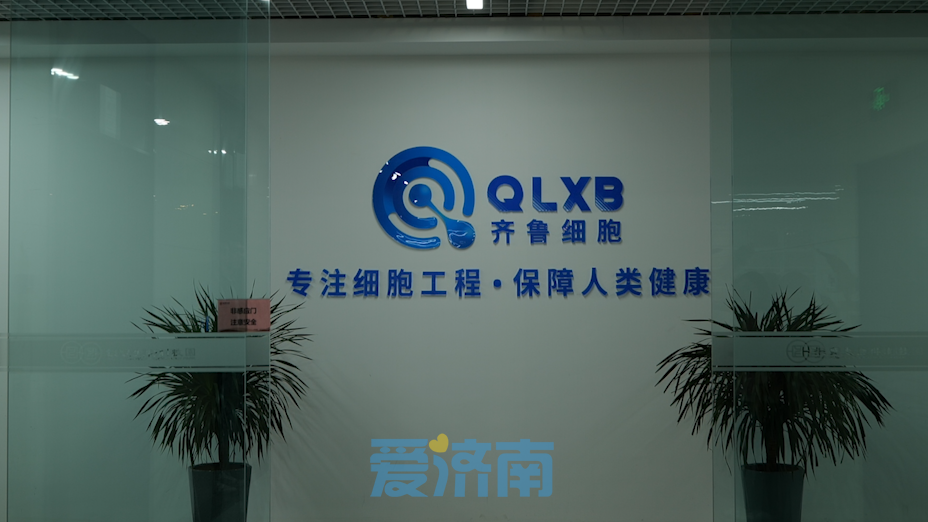 高新优品·园区行 ④ | 6008集团官方网站生物：“细胞+基因”立异驱动双引擎！买通人类全生命周期康健治理效劳工业链   6008集团官方网站生物集团|贡献医疗科技 包管人类康健